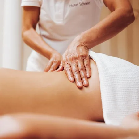 Superior Schneider Ski-in & Ski-out ホテル オーバータウエルン